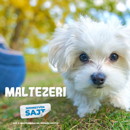 maltezeri