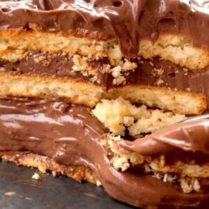 Bogata čokoladna plazma torta