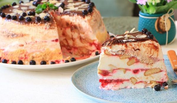 Zamrznuta plazma torta sa malinama